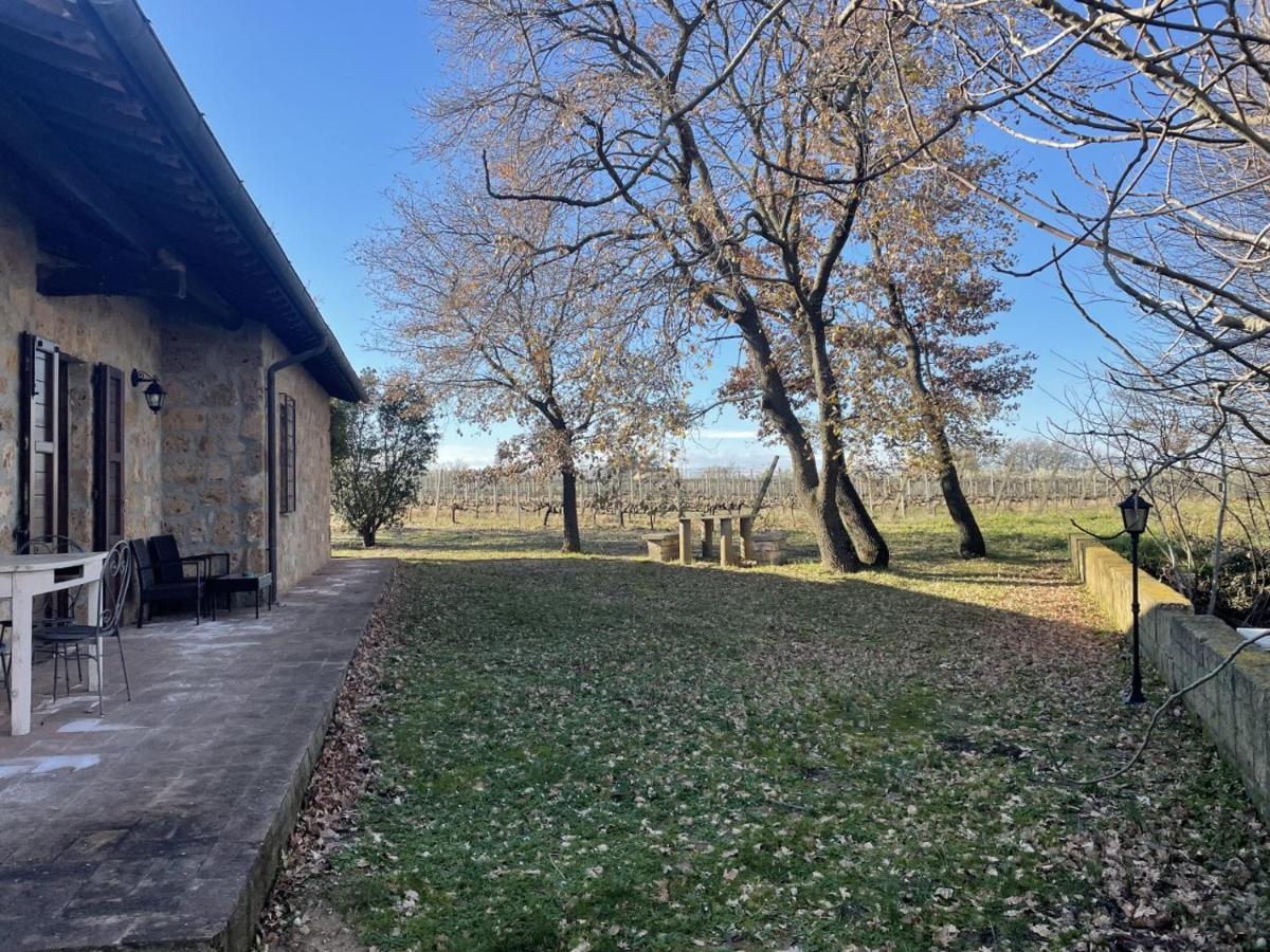 Agriturismo Eco-Bio Villa Vacasio Pitigliano Exteriér fotografie